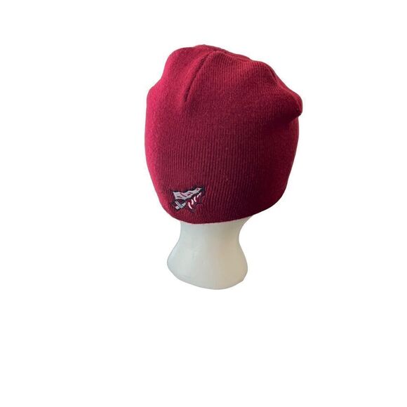 Florida State University FSU Logo embroidered beanie hat - Picture 8 of 14